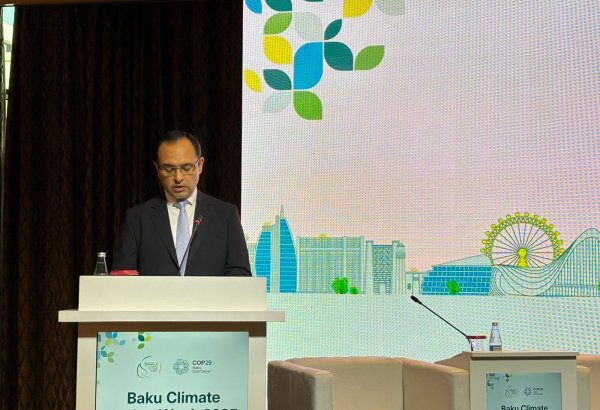 Azerbaijan rolling out digital and road map for AI in agriculture