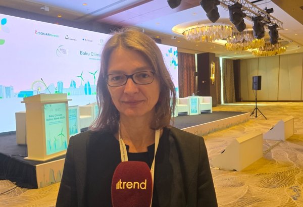 World Bank pledges ongoing support for Azerbaijan’s green and climate projects (Exclusive)