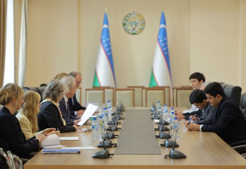 Uzbekistan, Sweden discuss joint projects in migration, environment, and reforms