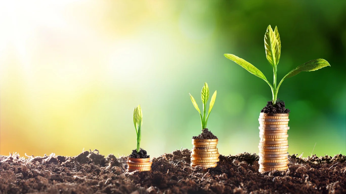 Uzbekistan’s agriculture sees major boost from international financing