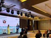 Climate Action Week in Azerbaijan's Baku enters its third day (PHOTO)
