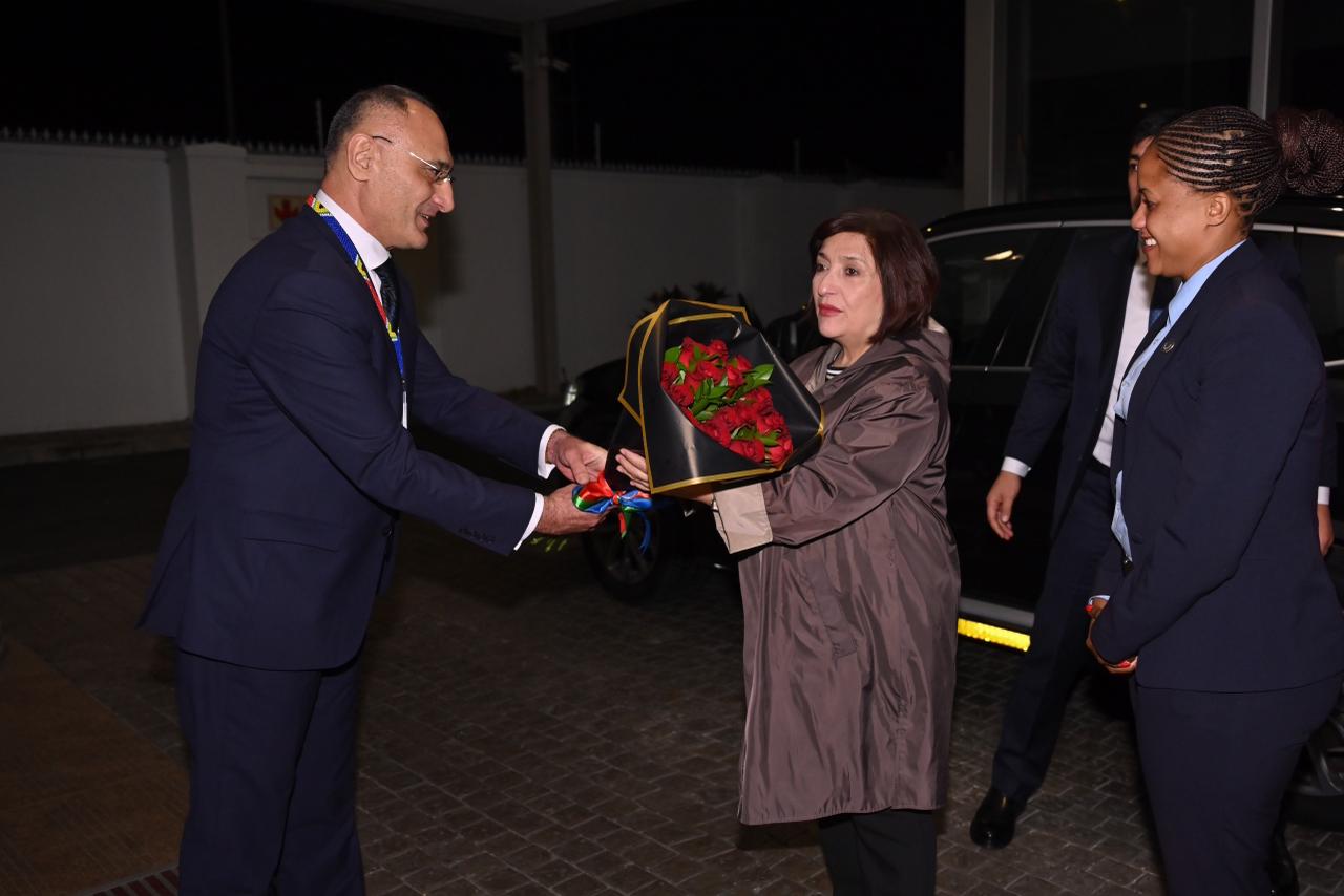 Azerbaijani parliament speaker pays working visit to South African Republic (PHOTO)