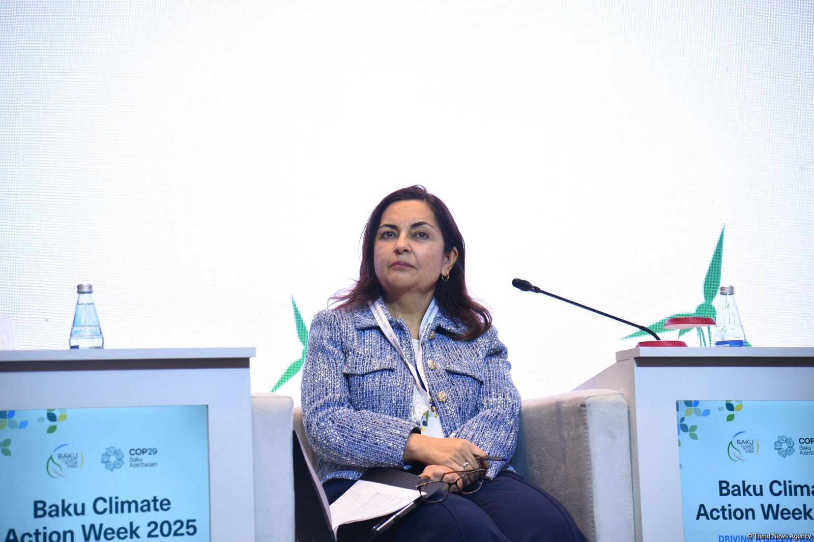 ADB ready to quench Azerbaijan’s thirst for modernized irrigation - official