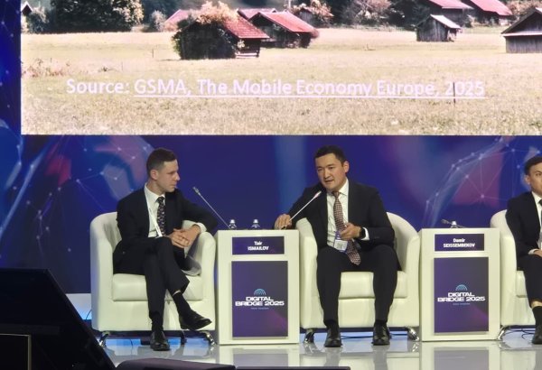 Kazakhstan set to extend rural satellite internet service by year-end - deputy minister