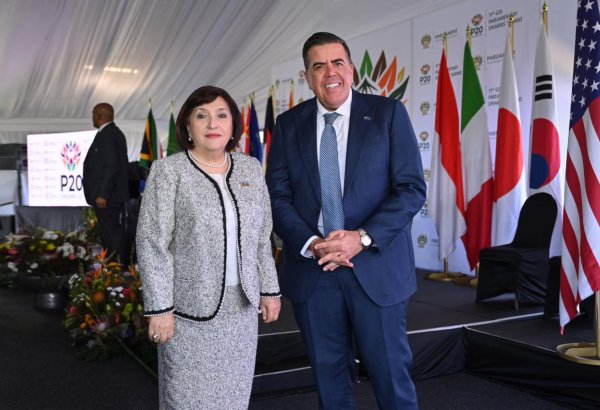 Azerbaijani parliament speaker holds several meetings in South Africa (PHOTO)