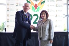 Azerbaijani parliament speaker holds several meetings in South Africa (PHOTO)