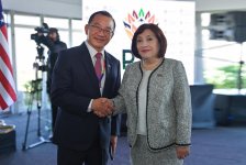 Azerbaijani parliament speaker holds several meetings in South Africa (PHOTO)