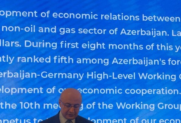 Germany stands among top investors in Azerbaijan’s non-oil sector - MFA official