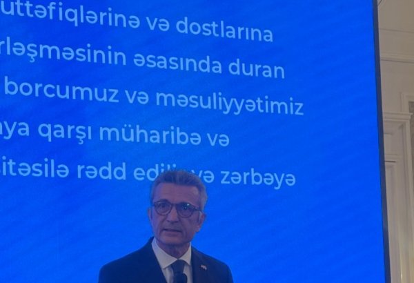 Germany-Azerbaijan ties reach unprecedented levels of collaborative synergy - ambassador