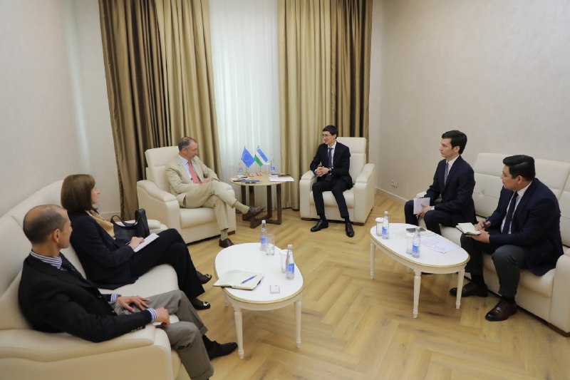 Uzbekistan, EU discuss new joint projects to expand cooperation