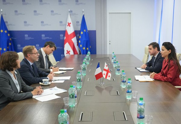 Georgia, France pledge to strengthen economic partnership