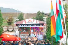 International Barbecue Festival concludes in Azerbaijan's Shamakhi (PHOTO)