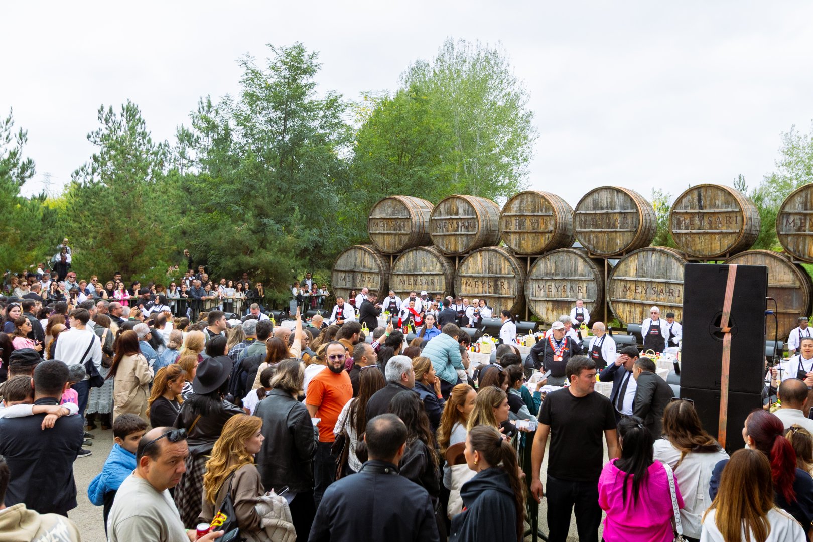 International Barbecue Festival concludes in Azerbaijan's Shamakhi (PHOTO)
