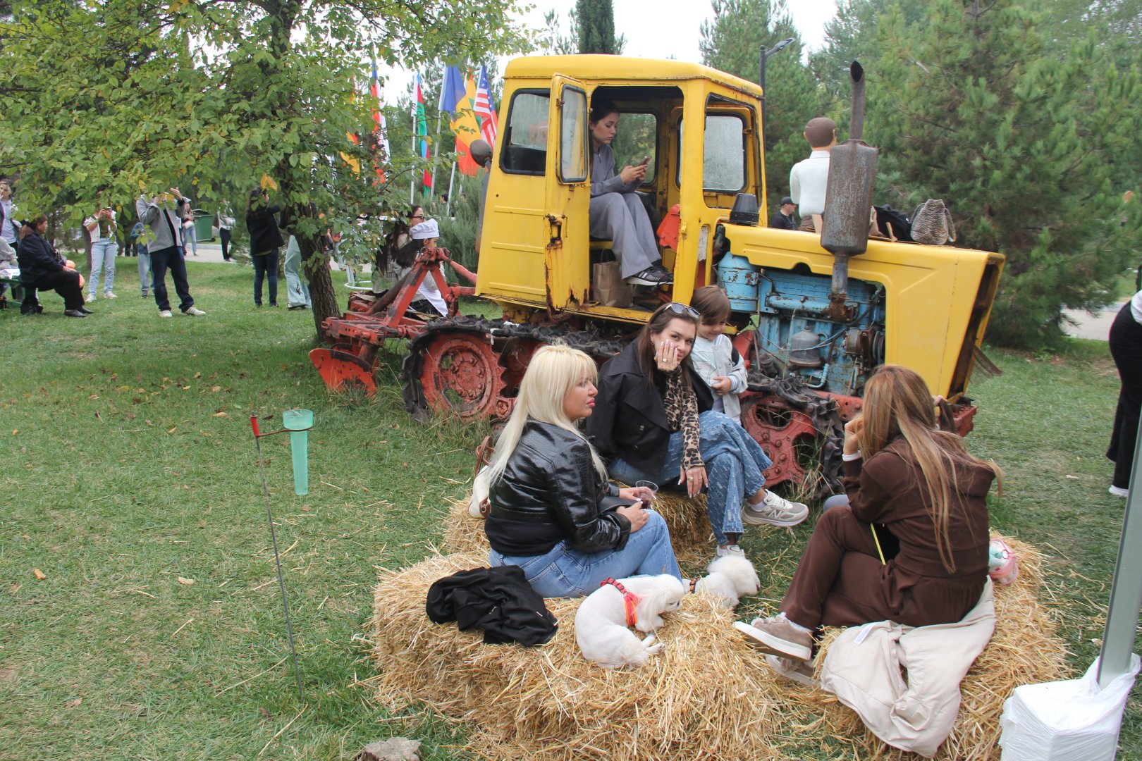 International Barbecue Festival concludes in Azerbaijan's Shamakhi (PHOTO)