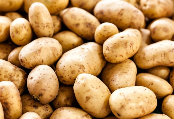 Pakistan tops table in potato exports to Uzbekistan in 8M2025
