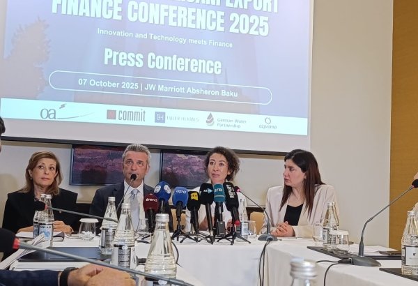 Germany can offer technologies for Azerbaijan's economic dev't - ambassador