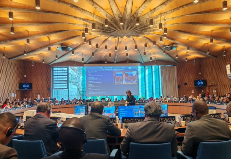 Azerbaijan delivers statement at 222nd session of UNESCO Executive Board