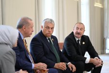 President Ilham Aliyev welcomes participants of 12th Summit of Council of OTS Heads of State (PHOTO)