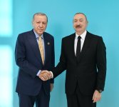 President Ilham Aliyev welcomes participants of 12th Summit of Council of OTS Heads of State (PHOTO)
