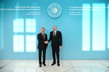 President Ilham Aliyev welcomes participants of 12th Summit of Council of OTS Heads of State (PHOTO)