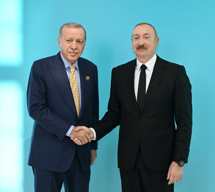 President Ilham Aliyev welcomes participants of 12th Summit of Council of OTS Heads of State (PHOTO)