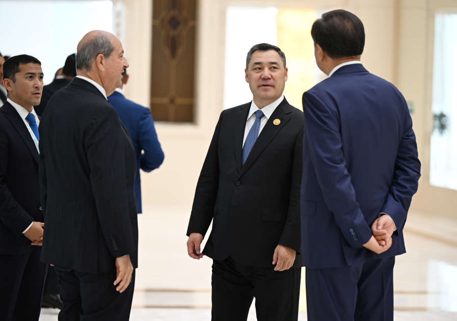 President Ilham Aliyev welcomes participants of 12th Summit of Council of OTS Heads of State (PHOTO)