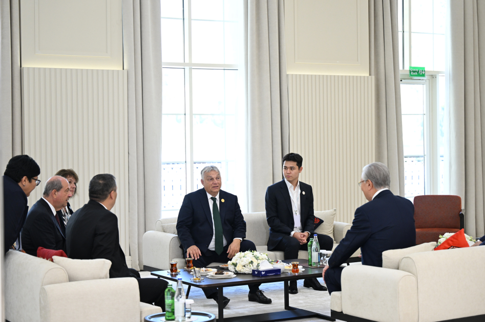 President Ilham Aliyev welcomes participants of 12th Summit of Council of OTS Heads of State (PHOTO)