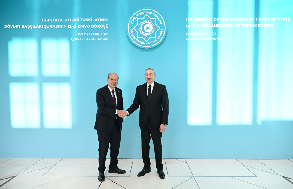 President Ilham Aliyev welcomes participants of 12th Summit of Council of OTS Heads of State (PHOTO)