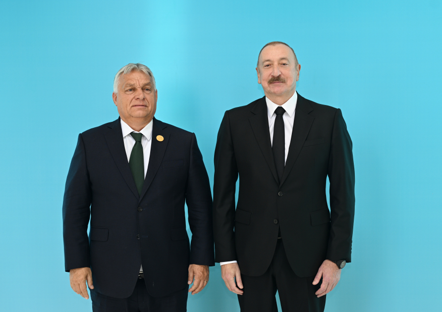 President Ilham Aliyev welcomes participants of 12th Summit of Council of OTS Heads of State (PHOTO)