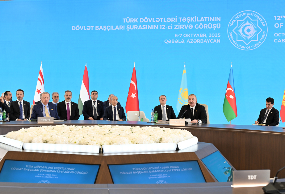 Azerbaijan and OTS member states implemented numerous significant investment projects - President Ilham Aliyev