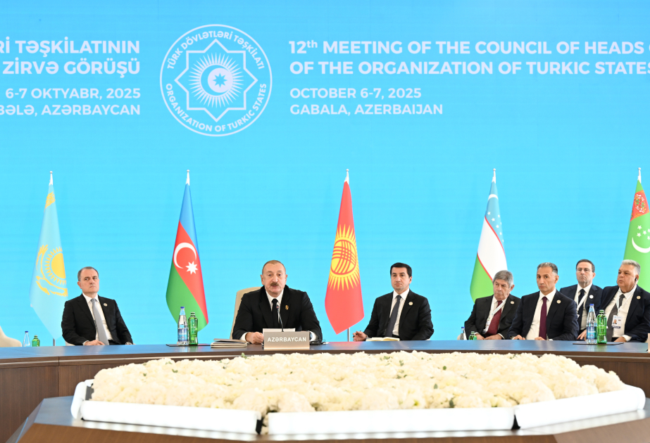 President Ilham Aliyev addresses 12th Summit of Council of OTS Heads of State (PHOTO/VIDEO)