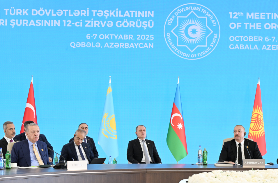 President Ilham Aliyev addresses 12th Summit of Council of OTS Heads of State (PHOTO/VIDEO)