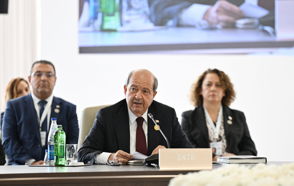 President Ilham Aliyev addresses 12th Summit of Council of OTS Heads of State (PHOTO/VIDEO)