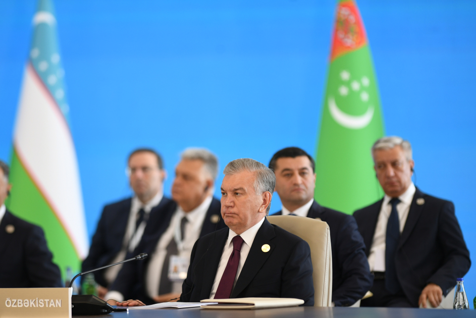 President Ilham Aliyev addresses 12th Summit of Council of OTS Heads of State (PHOTO/VIDEO)