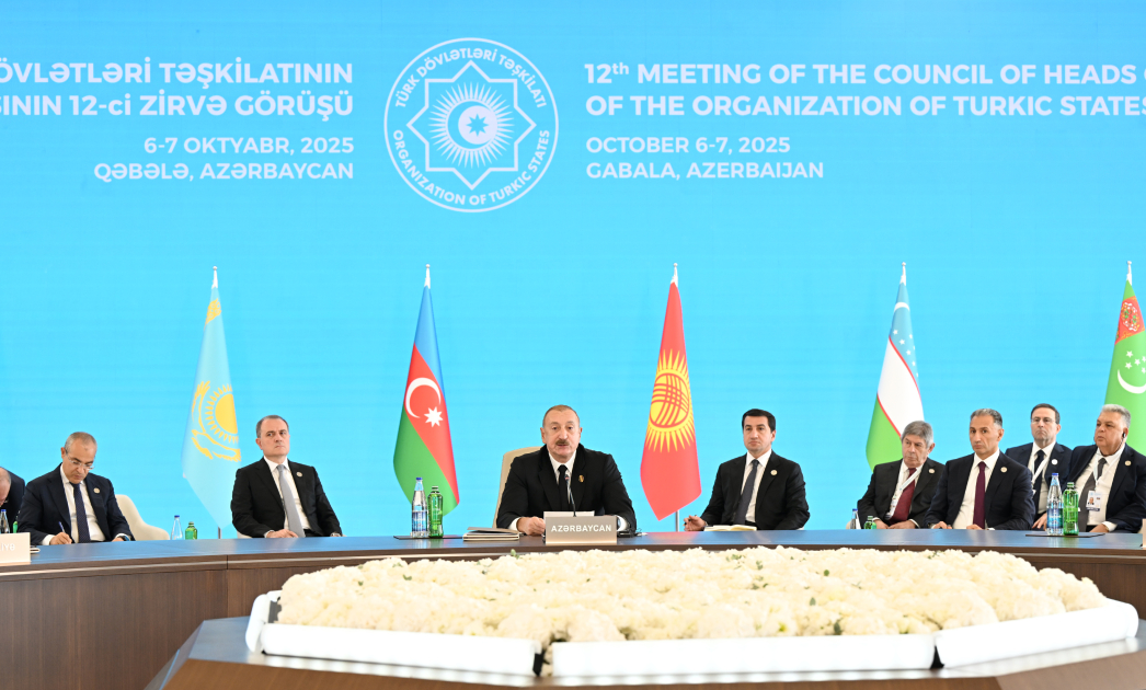 President Ilham Aliyev addresses 12th Summit of Council of OTS Heads of State (PHOTO/VIDEO)