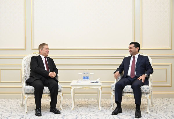 Uzbekistan's FM holds talks with outgoing Palestinian ambassador