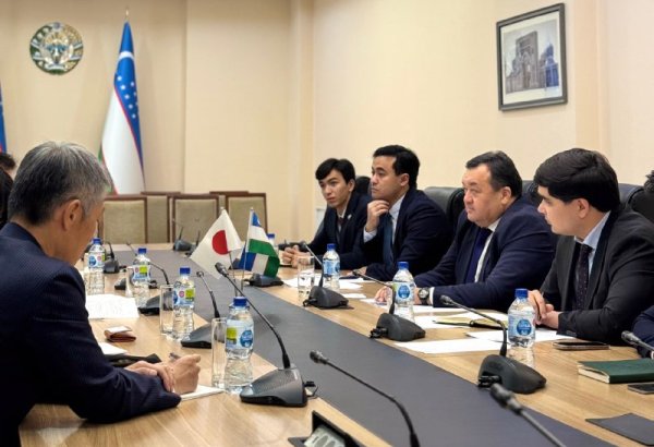 Uzbekistan and Mitsubishi Corporation join forces on investment in energy and industry