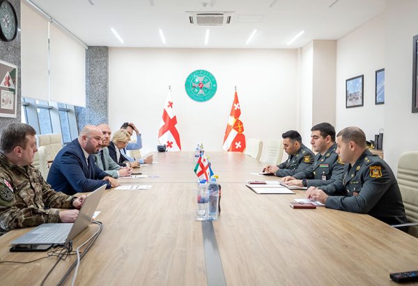 Azerbaijani, Georgian military experts discuss cybersecurity cooperation
