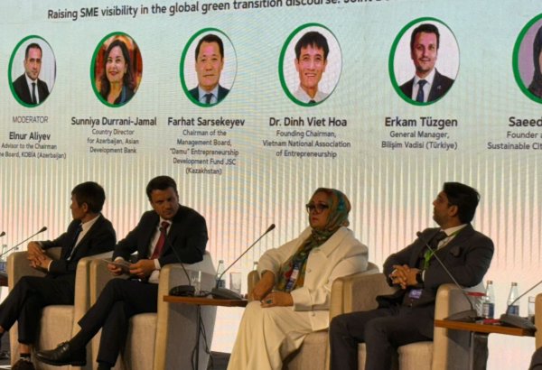 Turkish company expands cooperation with Azerbaijan on green transition