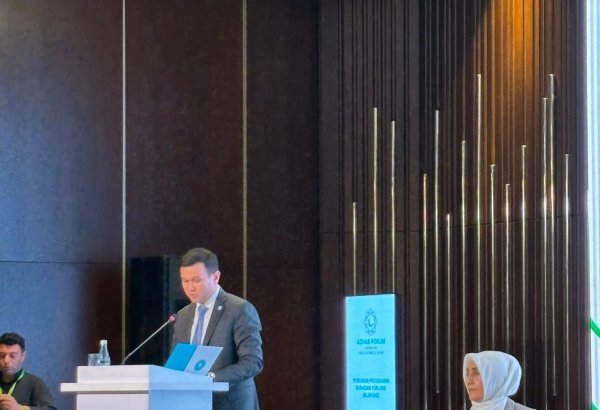 Gabala summit lays strong foundation for Turkic nations’ integration, OTS official says