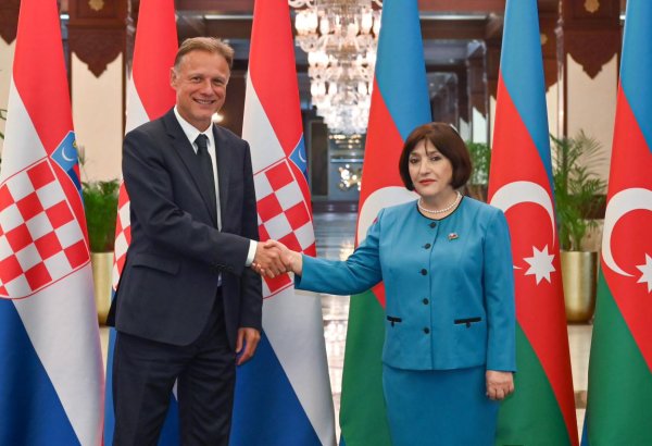 Azerbaijani Parliament Speaker meets with Croatian counterpart (PHOTO)