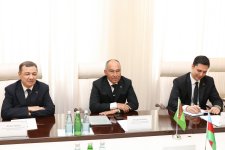 Azerbaijan and Turkmenistan discuss collaboration in healthcare sector (PHOTO)