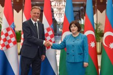 Azerbaijani Parliament Speaker meets with Croatian counterpart (PHOTO)