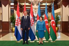 Azerbaijani Parliament Speaker meets with Croatian counterpart (PHOTO)