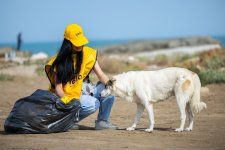 Yelo Team organizes clean‑up campaign on Mardakan beach (PHOTO)