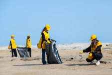 Yelo Team organizes clean‑up campaign on Mardakan beach (PHOTO)