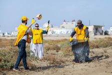 Yelo Team organizes clean‑up campaign on Mardakan beach (PHOTO)