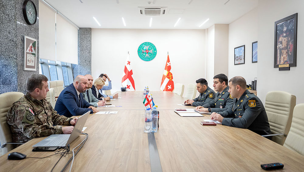 Azerbaijani, Georgian military experts discuss cybersecurity cooperation
