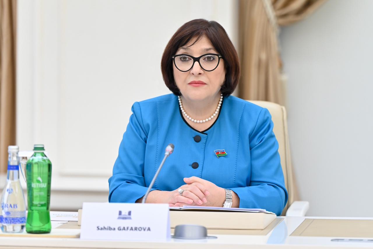 Azerbaijani Parliament Speaker meets with Croatian counterpart (PHOTO)