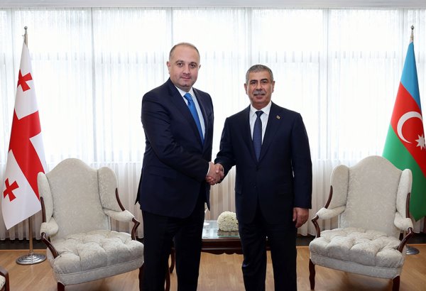 Azerbaijan’s Defense Minister engages in talks with Georgian counterpart (PHOTO)